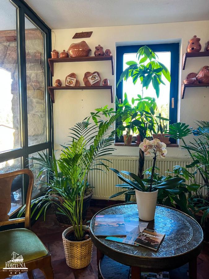 Fortuna Eco - Boutique Hotel