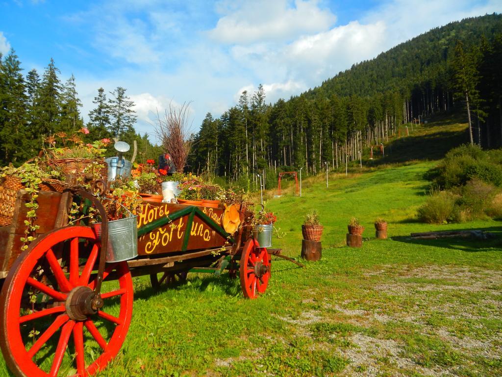 Fortuna Eco - Boutique 3* BaileTusnad